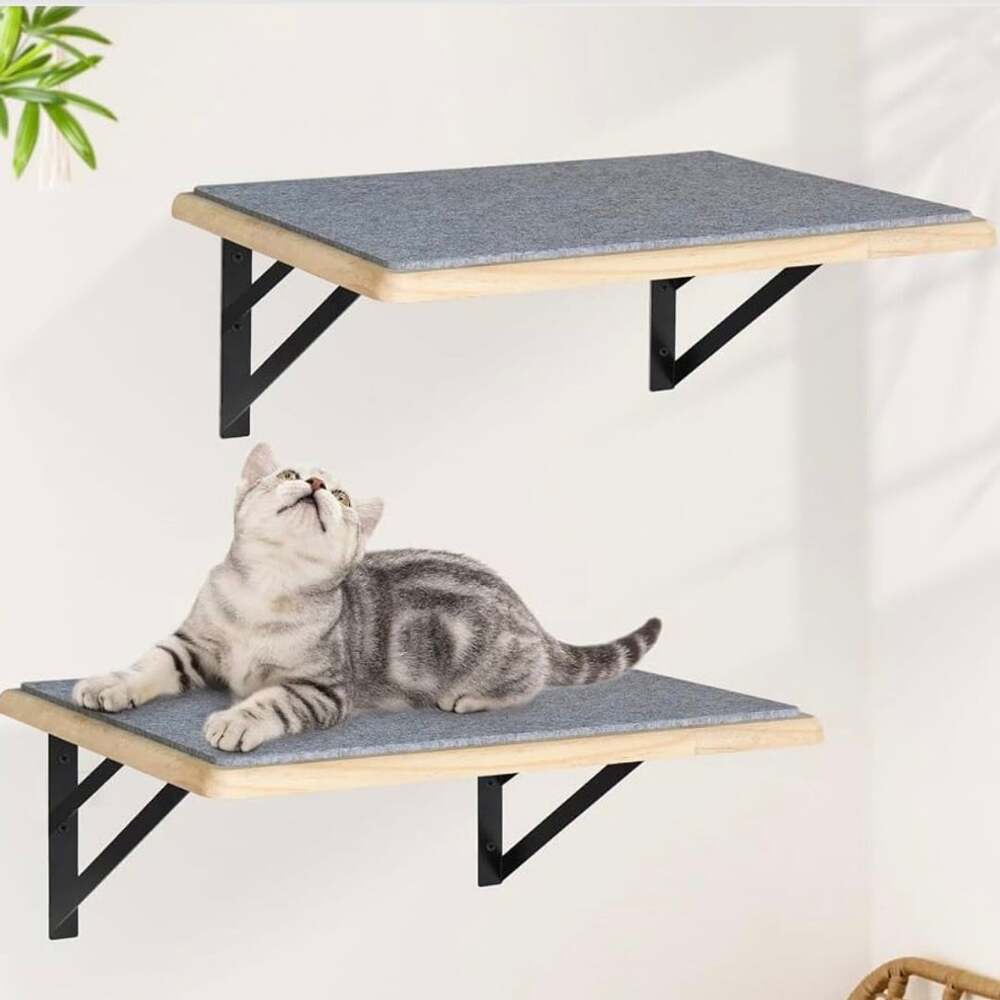 Cat Wall Shelves Set of 2 Wood Cat Shelves for Wall with Scratching Pad and Felt
